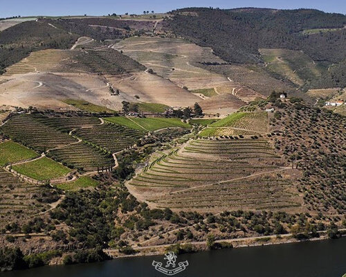 Wine & Dine «Quinta do Crasto»