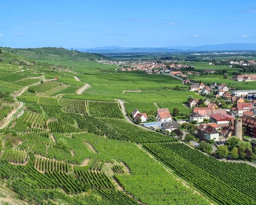 Reise ins Elsass 2024