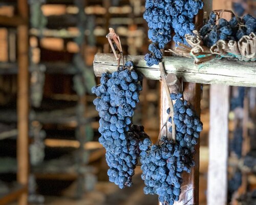 Amarone und andere Weine aus getrockneten Trauben