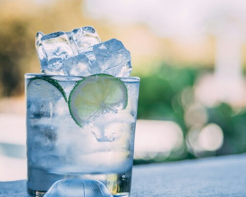 Gin & Tonic: Summer Edition