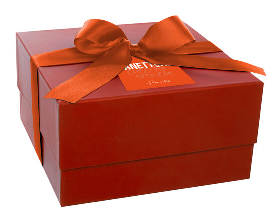 Panettone Cioccolato e Arancia I Piemontesi 900g