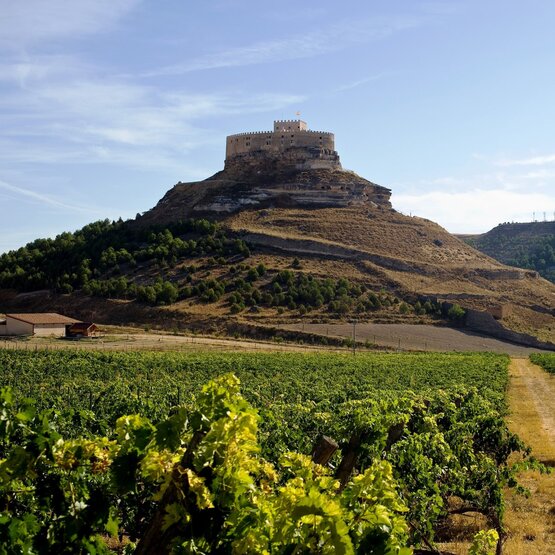 SCHÜWO Weinschule: Sagenhafter Fluss, Ribera del Duero & Douro Tal, Donnerstag, 8. Januar 2026