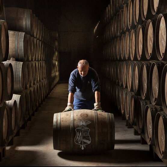 SCHÜWO Weinschule: 100 Jahre Rioja, Donnerstag, 19. März 2026