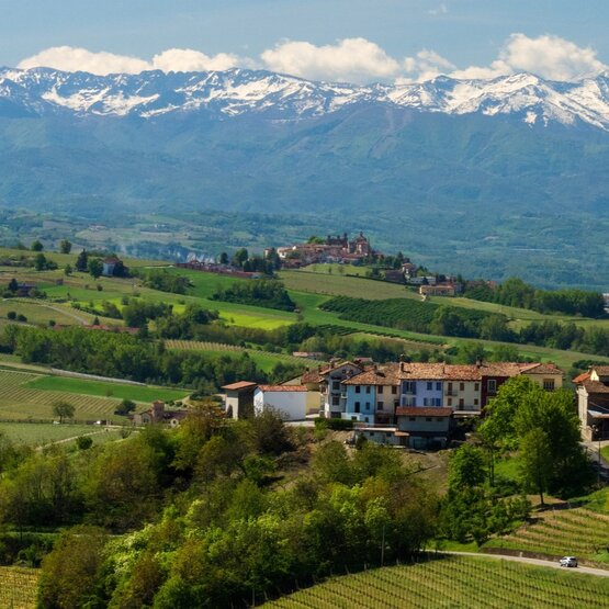 SCHÜWO Weinschule: Piemont, Donnerstag, 30. April 2026
