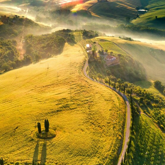 SCHÜWO Weinschule: Super Tuscans I, Freitag, 29. Mai 2026 - wenige letzte Plätze verfügbar