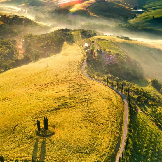 SCHÜWO Weinschule: Super Tuscans I, Freitag, 29. Mai 2026