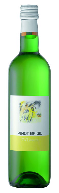 Pinot Grigio Terra Mia Venezia DOC Top 50