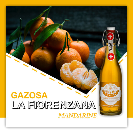 Gazosa La Fiorenzana Mandarino (Mandarine) Ponzio Tonna SA Depot 1.-