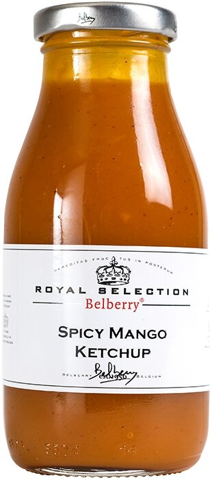 Ketchup Mangue Epicée 250 ml
