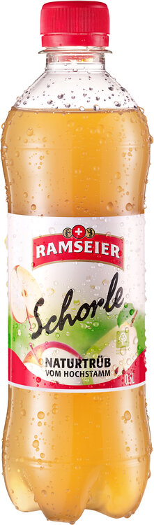 Ramseier Schorle naturtrüb 50 cl PET 6-Pack