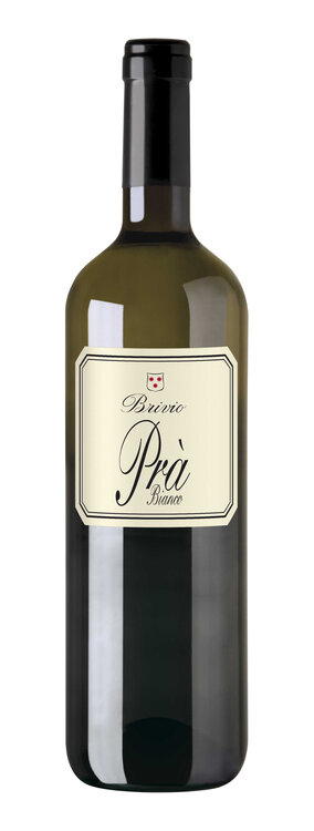 Merlot DOC Pra Bianco Guido Brivio