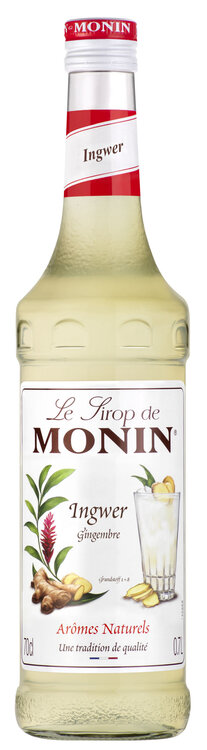 Monin Ginger (Ingwer) Premium Sirup