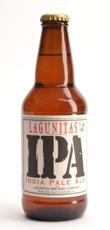 Lagunitas IPA Beer USA 355 ml Flasche