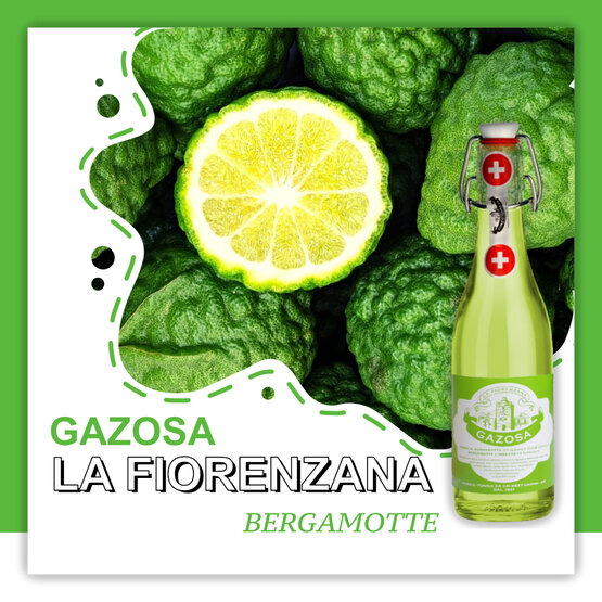Gazosa La Fiorenzana Bergamotte Ponzio Tonna SA Depot 1.-