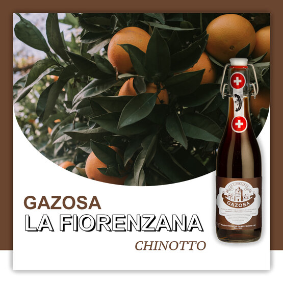 Gazosa La Fiorenzana Chinotto Ponzio Tonna SA Depot 1.-