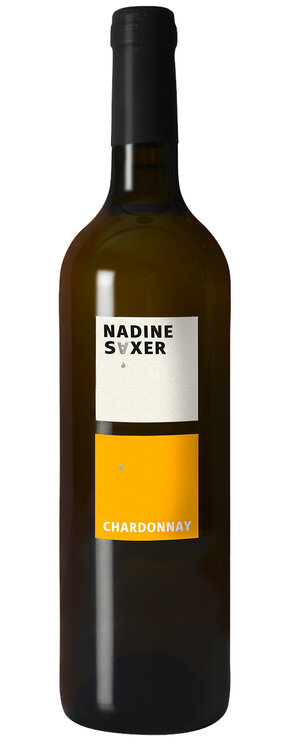 Chardonnay Weingut Nadine Saxer Neftenbach