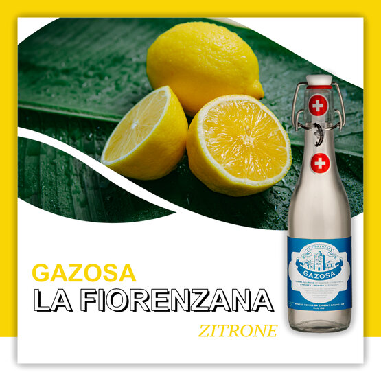 Gazosa La Fiorenzana Limone (Zitrone) Ponzio Tonna SA Depot 1.-