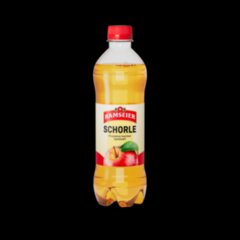 Ramseier SCHORLE 50 cl PET