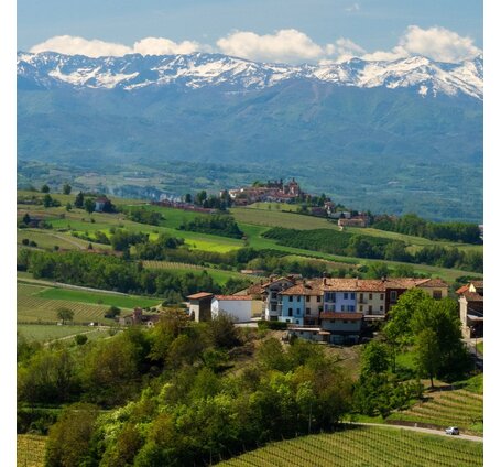 SCHÜWO Weinschule: Piemont, Mittwoch, 26. November 2025 - wenige letzte Plätze verfügbar