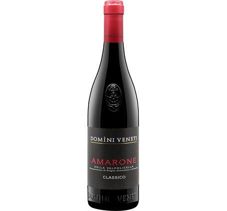 Amarone Domini Veneti Classico DOC
