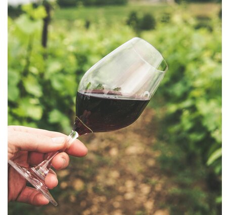 SCHÜWO Weinschule: Basis-Weinseminar (3 Abende), jeweils dienstags, 3./10./17. März 2026