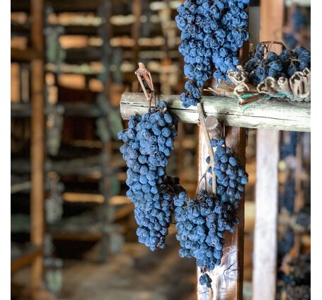 SCHÜWO Weinschule: Amarone und andere Weine, aus getrockneten Trauben, Dienstag, 24. Februar 2026