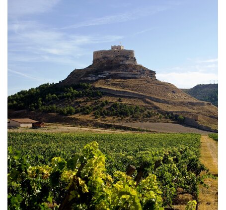 SCHÜWO Weinschule: Ribera del Duero, Donnerstag, 22. Oktober 2026