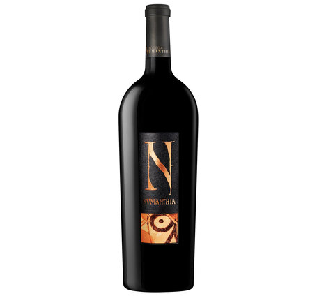 Numanthia Toro DO Bodega Numanthia, España (94 Punkte WineEnthusiast)