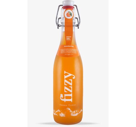 Fizzy Gazzosa Mandarino 35cl Bügel Depot 1.-