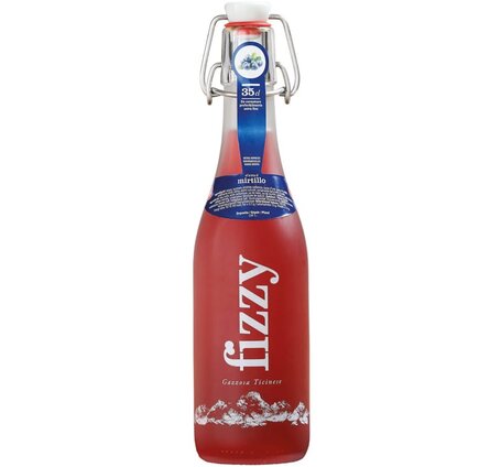 Fizzy Gazzosa Myrtille 35cl Bügel Depot 1.-