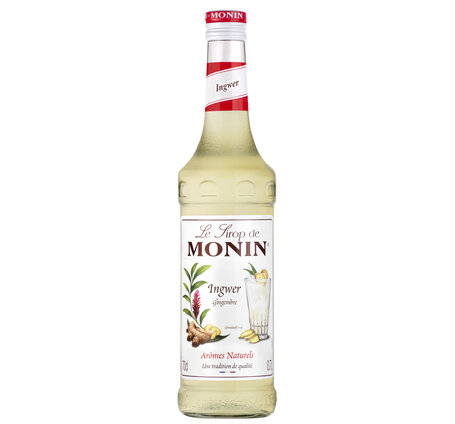 Monin Ginger (Ingwer) Premium Sirup